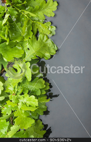 To use this stock image in your creative project, please select the size you need over to the right and click the "Add to Cart" button.
Your downloaded image will come with the Cutcaster watermark removed so don’t worry about the watermark you see on this page. Oak leaves with dew drops reflected in the water stock photo, Oak leaves with dew drops reflected in the water, with place for your text by alekleks