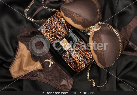 To use this stock image in your creative project, please select the size you need over to the right and click the "Add to Cart" button.
Your downloaded image will come with the Cutcaster watermark removed so don’t worry about the watermark you see on this page. Sexy lingerie and leopard bag stock photo, Sexy lingerie and leopard bag lying on black satin by alekleks