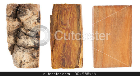 To use this stock image in your creative project, please select the size you need over to the right and click the "Add to Cart" button.
Your downloaded image will come with the Cutcaster watermark removed so don’t worry about the watermark you see on this page. The bark and wood of amur velvet stock photo, The bark and wood of amur velvet, isolated on white by alekleks