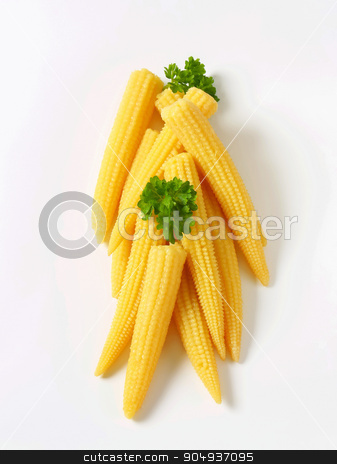 To use this stock image in your creative project, please select the size you need over to the right and click the "Add to Cart" button.
Your downloaded image will come with the Cutcaster watermark removed so don’t worry about the watermark you see on this page. Pickled baby corn stock photo, Pickled baby corn cobs - studio shot by Digifoodstock