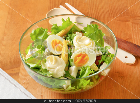 To use this stock image in your creative project, please select the size you need over to the right and click the "Add to Cart" button.
Your downloaded image will come with the Cutcaster watermark removed so don’t worry about the watermark you see on this page. Mixed salad stock photo, Bowl of mixed salad with boiled egg and feta by Digifoodstock