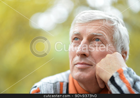 To use this stock image in your creative project, please select the size you need over to the right and click the "Add to Cart" button.
Your downloaded image will come with the Cutcaster watermark removed so don’t worry about the watermark you see on this page. Thoughtful senior man in park stock photo, Portrait of thoughtful senior man in park by Ruslan Huzau