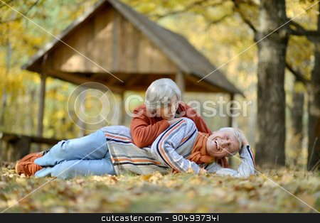 To use this stock image in your creative project, please select the size you need over to the right and click the "Add to Cart" button.
Your downloaded image will come with the Cutcaster watermark removed so don’t worry about the watermark you see on this page. Beautiful Senior couple stock photo, Portrait of a beautiful senior couple in autumn park by Ruslan Huzau