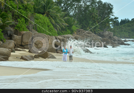 To use this stock image in your creative project, please select the size you need over to the right and click the "Add to Cart" button.
Your downloaded image will come with the Cutcaster watermark removed so don’t worry about the watermark you see on this page. Elderly couple rest at tropical resort stock photo, Beautiful happy elderly couple rest at tropical resort by Ruslan Huzau