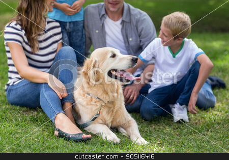 To use this stock image in your creative project, please select the size you need over to the right and click the "Add to Cart" button.
Your downloaded image will come with the Cutcaster watermark removed so don’t worry about the watermark you see on this page. Family with dog in the park stock photo, Family with dog in the park on a sunny day by Wavebreak Media