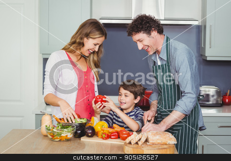 To use this stock image in your creative project, please select the size you need over to the right and click the "Add to Cart" button.
Your downloaded image will come with the Cutcaster watermark removed so don’t worry about the watermark you see on this page. Smiling parents with son in kitchen stock photo, Son holding bell pepper with parents in kitchen at home by Wavebreak Media