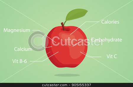 To use this stock image in your creative project, please select the size you need over to the right and click the "Add to Cart" button.
Your downloaded image will come with the Cutcaster watermark removed so don’t worry about the watermark you see on this page. apple nutrition illustration with list of nutritions detail stock vector clipart, apple nutrition illustration with list of nutritions detail vector by teguhjatipras