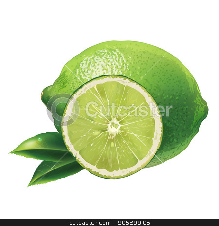 To use this stock image in your creative project, please select the size you need over to the right and click the "Add to Cart" button.
Your downloaded image will come with the Cutcaster watermark removed so don’t worry about the watermark you see on this page. Lime on white background stock photo, Lime with leaves. Isolated illustration on white background. by ConceptCafe