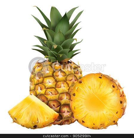 To use this stock image in your creative project, please select the size you need over to the right and click the "Add to Cart" button.
Your downloaded image will come with the Cutcaster watermark removed so don’t worry about the watermark you see on this page. Pineapple on white background stock photo, Pineapple and his sliced segment. Isolated illustration on white background. by ConceptCafe