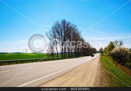 To use this stock image in your creative project, please select the size you need over to the right and click the "Add to Cart" button.
Your downloaded image will come with the Cutcaster watermark removed so don’t worry about the watermark you see on this page. Asphalt road in the countryside stock photo, Asphalt road in the countryside on a sunny summer day. The trees on the roadside. by Veresovich