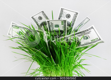 To use this stock image in your creative project, please select the size you need over to the right and click the "Add to Cart" button.
Your downloaded image will come with the Cutcaster watermark removed so don’t worry about the watermark you see on this page. Money in grass stock photo, Money in grass. Many one hundred dollar bills in a pot with green grass on a gray background. Fake money. Business concept. by Veresovich