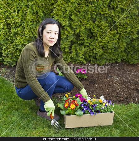 To use this stock image in your creative project, please select the size you need over to the right and click the "Add to Cart" button.
Your downloaded image will come with the Cutcaster watermark removed so don’t worry about the watermark you see on this page. Flower Planting stock photo, Asian women with box of mixed flowers in flowerbed with green bushes in background by tab62