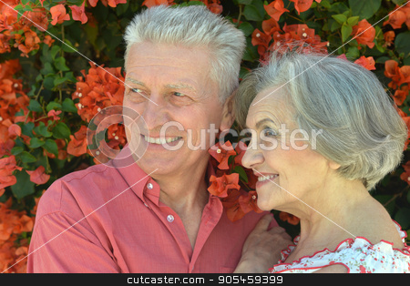 To use this stock image in your creative project, please select the size you need over to the right and click the "Add to Cart" button.
Your downloaded image will come with the Cutcaster watermark removed so don’t worry about the watermark you see on this page. happy mature couple stock photo, happy mature couple in romantic photo session by Ruslan Huzau