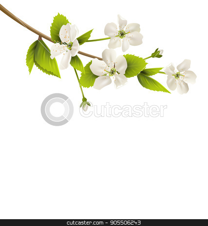 To use this stock image in your creative project, please select the size you need over to the right and click the "Add to Cart" button.
Your downloaded image will come with the Cutcaster watermark removed so don’t worry about the watermark you see on this page. Cherry branch with white flowers isolated on white stock vector clipart, Cherry branch with white flowers isolated on white background by Makkuro_GL
