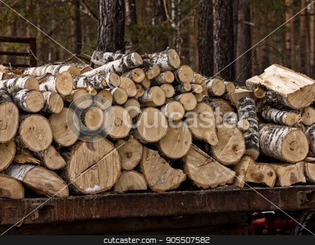 To use this stock image in your creative project, please select the size you need over to the right and click the "Add to Cart" button.
Your downloaded image will come with the Cutcaster watermark removed so don’t worry about the watermark you see on this page. stack of natural wooden logs. pile wood cut background stock photo, stack of natural wooden logs. wood cut background by Alexander