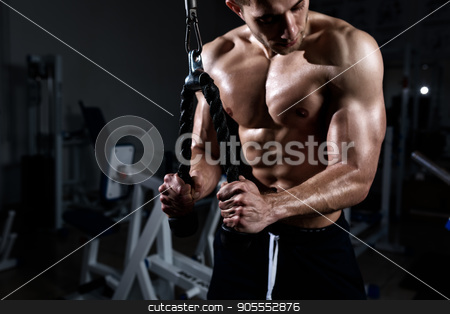 To use this stock image in your creative project, please select the size you need over to the right and click the "Add to Cart" button.
Your downloaded image will come with the Cutcaster watermark removed so don’t worry about the watermark you see on this page. Muscular man training triceps in the gym stock photo, Muscular young man training triceps in the gym by Igor Kopakov