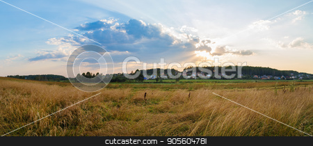 To use this stock image in your creative project, please select the size you need over to the right and click the "Add to Cart" button.
Your downloaded image will come with the Cutcaster watermark removed so don’t worry about the watermark you see on this page. Panoramic rural landscape stock photo, Panoramic shot. by Veresovich