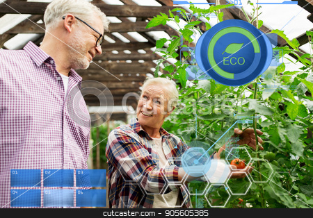 To use this stock image in your creative project, please select the size you need over to the right and click the "Add to Cart" button.
Your downloaded image will come with the Cutcaster watermark removed so don’t worry about the watermark you see on this page. happy senior couple at farm greenhouse stock photo, organic farming, gardening, agriculture, old age and people concept - senior woman and man growing tomatoes at greenhouse on farm by Syda Productions