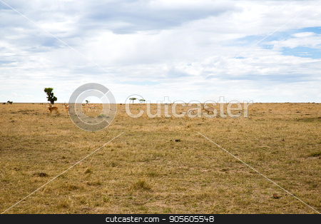 To use this stock image in your creative project, please select the size you need over to the right and click the "Add to Cart" button.
Your downloaded image will come with the Cutcaster watermark removed so don’t worry about the watermark you see on this page. group of gazelles grazing in savannah at africa stock photo, animal, nature and wildlife concept - group of gazelles grazing in maasai mara national reserve savannah at africa by Syda Productions