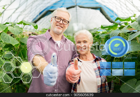 To use this stock image in your creative project, please select the size you need over to the right and click the "Add to Cart" button.
Your downloaded image will come with the Cutcaster watermark removed so don’t worry about the watermark you see on this page. happy senior couple at farm showing thumbs up stock photo, organic farming, gardening, agriculture and people concept - happy senior couple at farm greenhouse showing thumbs up by Syda Productions