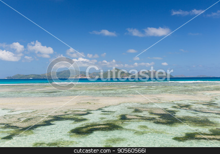 To use this stock image in your creative project, please select the size you need over to the right and click the "Add to Cart" button.
Your downloaded image will come with the Cutcaster watermark removed so don’t worry about the watermark you see on this page. island beach in indian ocean on seychelles stock photo, travel, seascape and nature concept - island beach in indian ocean on seychelles by Syda Productions