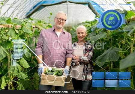 To use this stock image in your creative project, please select the size you need over to the right and click the "Add to Cart" button.
Your downloaded image will come with the Cutcaster watermark removed so don’t worry about the watermark you see on this page. senior couple with box of cucumbers on farm stock photo, organic farming, agriculture and people concept - senior couple with box of cucumbers at farm greenhouse by Syda Productions