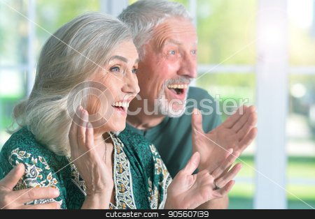 To use this stock image in your creative project, please select the size you need over to the right and click the "Add to Cart" button.
Your downloaded image will come with the Cutcaster watermark removed so don’t worry about the watermark you see on this page. happy senior couple stock photo, Portrait of a happy senior couple close up by Ruslan Huzau