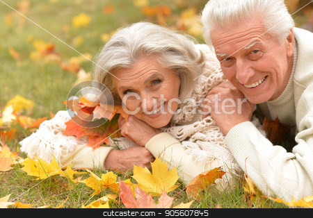 To use this stock image in your creative project, please select the size you need over to the right and click the "Add to Cart" button.
Your downloaded image will come with the Cutcaster watermark removed so don’t worry about the watermark you see on this page. Portrait of happy senior couple stock photo, Portrait of happy senior couple resting in autumnal park by Ruslan Huzau