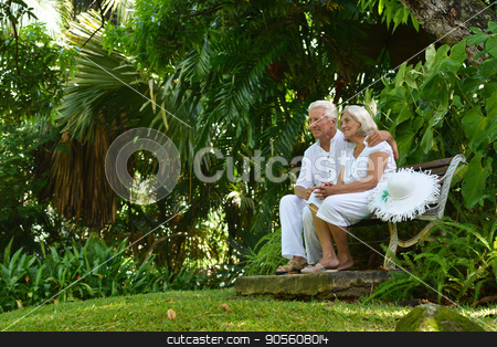 To use this stock image in your creative project, please select the size you need over to the right and click the "Add to Cart" button.
Your downloaded image will come with the Cutcaster watermark removed so don’t worry about the watermark you see on this page. Senior couple sitting on bench stock photo, Happy senior couple sitting on wooden bench outdoors by Ruslan Huzau