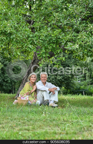 To use this stock image in your creative project, please select the size you need over to the right and click the "Add to Cart" button.
Your downloaded image will come with the Cutcaster watermark removed so don’t worry about the watermark you see on this page. Happy senior couple outdoors stock photo, Portrait of a happy senior couple taking rest outdoors by Ruslan Huzau