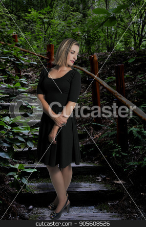 To use this stock image in your creative project, please select the size you need over to the right and click the "Add to Cart" button.
Your downloaded image will come with the Cutcaster watermark removed so don’t worry about the watermark you see on this page. Beautiful Woman in a dress stock photo, Beautiful sexy woman in a little black dress by Robert Byron