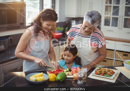To use this stock image in your creative project, please select the size you need over to the right and click the "Add to Cart" button.
Your downloaded image will come with the Cutcaster watermark removed so don’t worry about the watermark you see on this page. Mother teaching daughter to chop vegetables in kitchen stock photo, Mother teaching daughter to chop vegetables in kitchen at home by Wavebreak Media