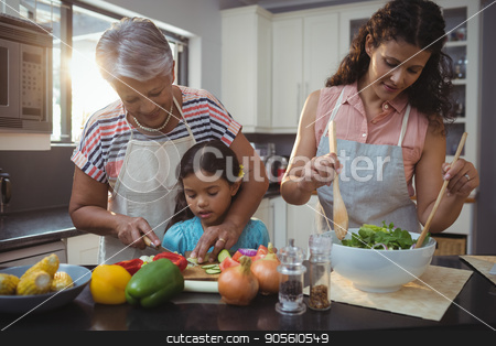 To use this stock image in your creative project, please select the size you need over to the right and click the "Add to Cart" button.
Your downloaded image will come with the Cutcaster watermark removed so don’t worry about the watermark you see on this page. Grandmother teaching granddaughter to chop vegetables in kitchen stock photo, Grandmother teaching granddaughter to chop vegetables in kitchen at home by Wavebreak Media