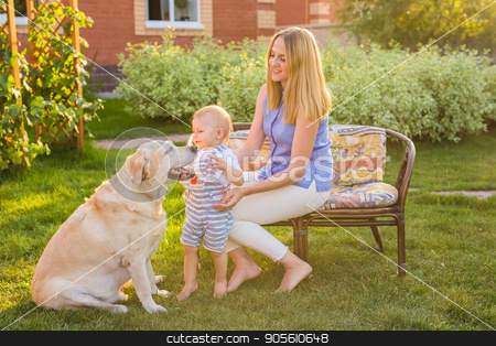 To use this stock image in your creative project, please select the size you need over to the right and click the "Add to Cart" button.
Your downloaded image will come with the Cutcaster watermark removed so don’t worry about the watermark you see on this page. Family Relaxing In Garden With Pet Dog stock photo, Family Relaxing In Garden With Pet Dog by Satura86