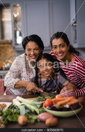 To use this stock image in your creative project, please select the size you need over to the right and click the "Add to Cart" button.
Your downloaded image will come with the Cutcaster watermark removed so don’t worry about the watermark you see on this page. Portrait of smiling multi-generation family preparing food in kitchen stock photo, Portrait of smiling multi-generation family preparing food together in kitchen at home by Wavebreak Media