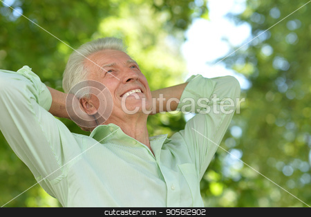 To use this stock image in your creative project, please select the size you need over to the right and click the "Add to Cart" button.
Your downloaded image will come with the Cutcaster watermark removed so don’t worry about the watermark you see on this page. Portrait of handsome senior man stock photo, Portrait of handsome senior man on blurred background by Ruslan Huzau