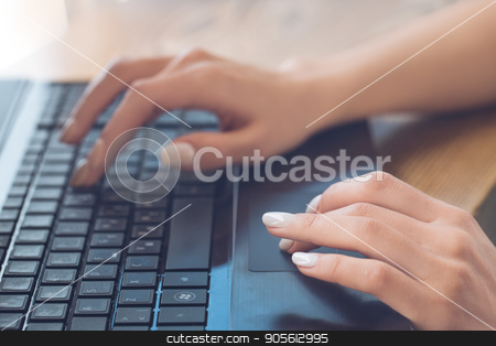 To use this stock image in your creative project, please select the size you need over to the right and click the "Add to Cart" button.
Your downloaded image will come with the Cutcaster watermark removed so don’t worry about the watermark you see on this page. Young woman sitting in a coffee shop leisure stock photo, Young female sitting in a cafe indoors rest typing by Dmytro Sidelnikov