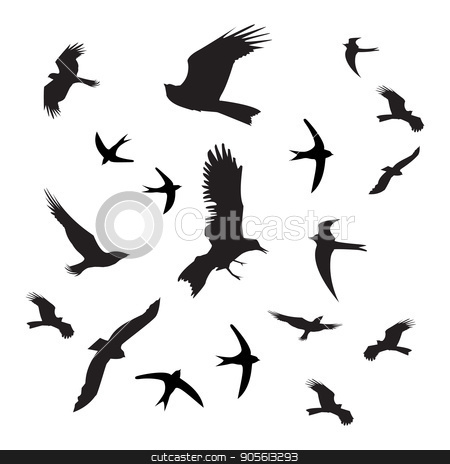To use this stock image in your creative project, please select the size you need over to the right and click the "Add to Cart" button.
Your downloaded image will come with the Cutcaster watermark removed so don’t worry about the watermark you see on this page. Birds silhouette black on white background stock vector clipart, Birds silhouette black on white background. Photo for your design by Kseniia
