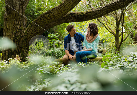 To use this stock image in your creative project, please select the size you need over to the right and click the "Add to Cart" button.
Your downloaded image will come with the Cutcaster watermark removed so don’t worry about the watermark you see on this page. Romantic couple interacting with each other in garden stock photo, Romantic couple interacting with each other in garden on a sunny day by Wavebreak Media