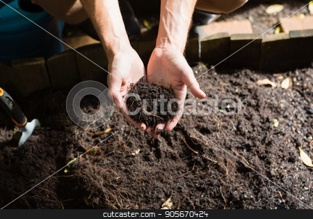 To use this stock image in your creative project, please select the size you need over to the right and click the "Add to Cart" button.
Your downloaded image will come with the Cutcaster watermark removed so don’t worry about the watermark you see on this page. Hand of man holding soil stock photo, Hand of man holding soil on a sunny day by Wavebreak Media