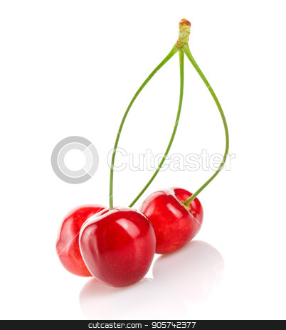 To use this stock image in your creative project, please select the size you need over to the right and click the "Add to Cart" button.
Your downloaded image will come with the Cutcaster watermark removed so don’t worry about the watermark you see on this page. Red cherries on a white isolated background. stock photo, Ripe, appetizing and tasty bright red cherries on a white isolated background. by serkucher