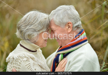 To use this stock image in your creative project, please select the size you need over to the right and click the "Add to Cart" button.
Your downloaded image will come with the Cutcaster watermark removed so don’t worry about the watermark you see on this page. Senior couple in autumn park stock photo, happy Senior couple posing in autumn park by Ruslan Huzau