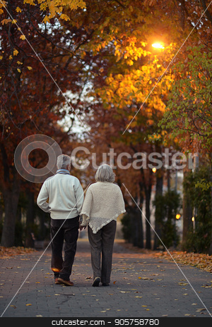 To use this stock image in your creative project, please select the size you need over to the right and click the "Add to Cart" button.
Your downloaded image will come with the Cutcaster watermark removed so don’t worry about the watermark you see on this page. Senior couple in autumn park stock photo, happy Senior couple walking in autumn park by Ruslan Huzau