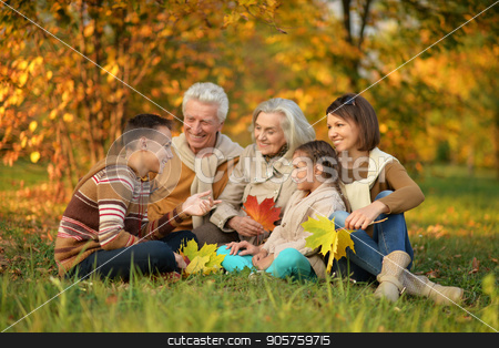 To use this stock image in your creative project, please select the size you need over to the right and click the "Add to Cart" button.
Your downloaded image will come with the Cutcaster watermark removed so don’t worry about the watermark you see on this page. Big family having fun stock photo, Big family having fun in autumnal park by Ruslan Huzau