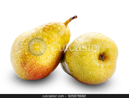 To use this stock image in your creative project, please select the size you need over to the right and click the "Add to Cart" button.
Your downloaded image will come with the Cutcaster watermark removed so don’t worry about the watermark you see on this page. Two yellow pears on white with a clipping path stock photo, Fresh yellow pears isolated on white with a clipping path by serkucher