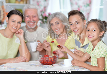 To use this stock image in your creative project, please select the size you need over to the right and click the "Add to Cart" button.
Your downloaded image will come with the Cutcaster watermark removed so don’t worry about the watermark you see on this page. Big happy family eating fresh strawberries at kitchen stock photo, Portrait of big happy family eating fresh strawberries at kitchen by Ruslan Huzau