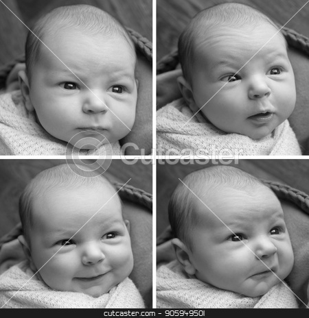 To use this stock image in your creative project, please select the size you need over to the right and click the "Add to Cart" button.
Your downloaded image will come with the Cutcaster watermark removed so don’t worry about the watermark you see on this page. photo collage: four images of a newborn baby in black and white stock photo, photo collage: four images of a newborn baby in black and white by aaalll3110