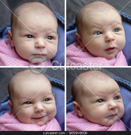 To use this stock image in your creative project, please select the size you need over to the right and click the "Add to Cart" button.
Your downloaded image will come with the Cutcaster watermark removed so don’t worry about the watermark you see on this page. photo collage: four images of a newborn baby stock photo, photo collage: four images of a newborn baby by aaalll3110