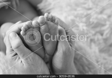To use this stock image in your creative project, please select the size you need over to the right and click the "Add to Cart" button.
Your downloaded image will come with the Cutcaster watermark removed so don’t worry about the watermark you see on this page. baby feet close up in white and balck colours stock photo, baby feet close up in white and balck colours by aaalll3110