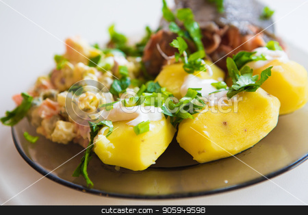 To use this stock image in your creative project, please select the size you need over to the right and click the "Add to Cart" button.
Your downloaded image will come with the Cutcaster watermark removed so don’t worry about the watermark you see on this page. Boiled potatoes under sour cream, red fish, salad sprinkled with parsley on a plate of dark glass stock photo, Boiled potatoes under sour cream, red fish, salad sprinkled with parsley on a plate of dark glass by aaalll3110